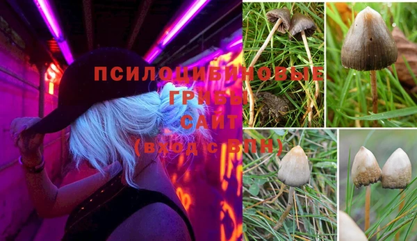 MDMA Premium VHQ Верхнеуральск