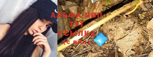 эйфоретик Верхний Тагил