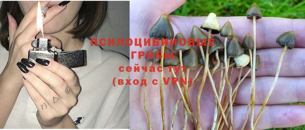 эйфоретик Верхний Тагил