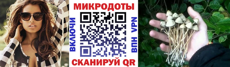 сколько стоит  Курск  Галлюциногенные грибы MAGIC MUSHROOMS 